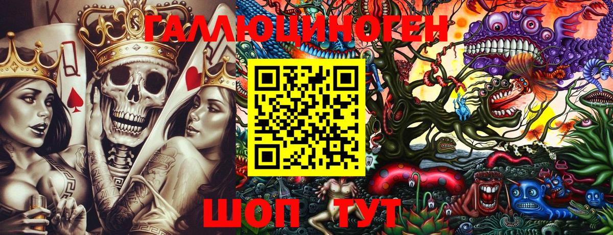 Псилоцибиновые грибы Cubensis  Вход с VPN  Корсаков 